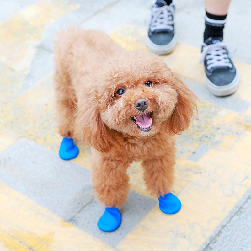 PootShield wasserdichte Hundeschuhe mit Grip für täglichen Komfort