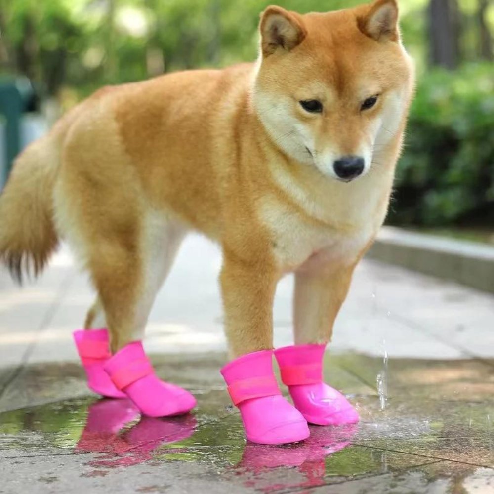 Pawsafe All Weather Boots For Dogs With Waterproof Traction On Wet Surfaces
