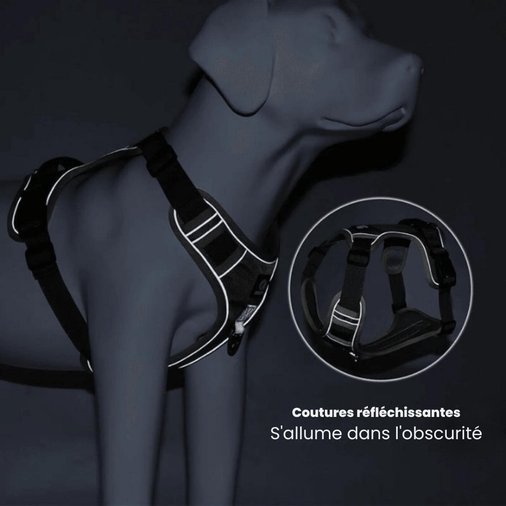 Imbracatura Antitrazione PawsControl per Cani per Passeggiate Quotidiane di Tutte le Razze