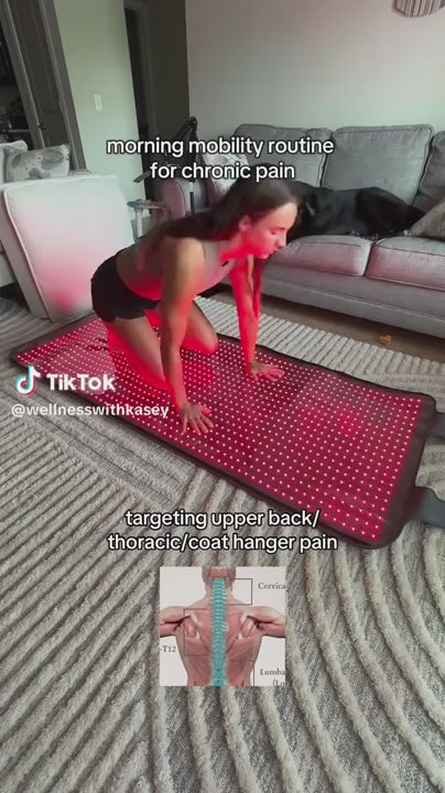 Red And Infrared Light Bag Pro For Home Wellness System