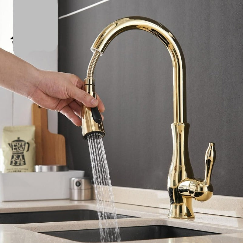 Contemporary Pull-Out Tap In Stainless Steel With 360 Rotation Extendable Sprayhead