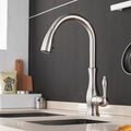 Contemporary Pull-Out Tap In Stainless Steel With 360 Rotation Extendable Sprayhead