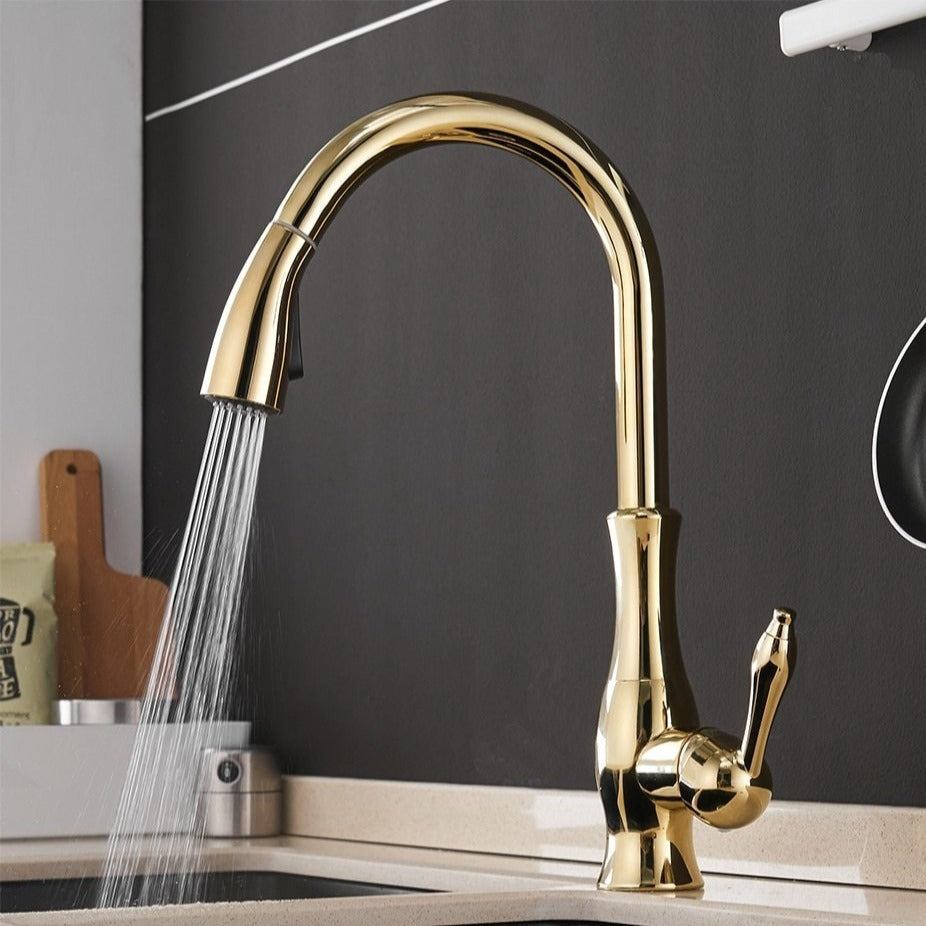 Contemporary Pull-Out Tap In Stainless Steel With 360 Rotation Extendable Sprayhead