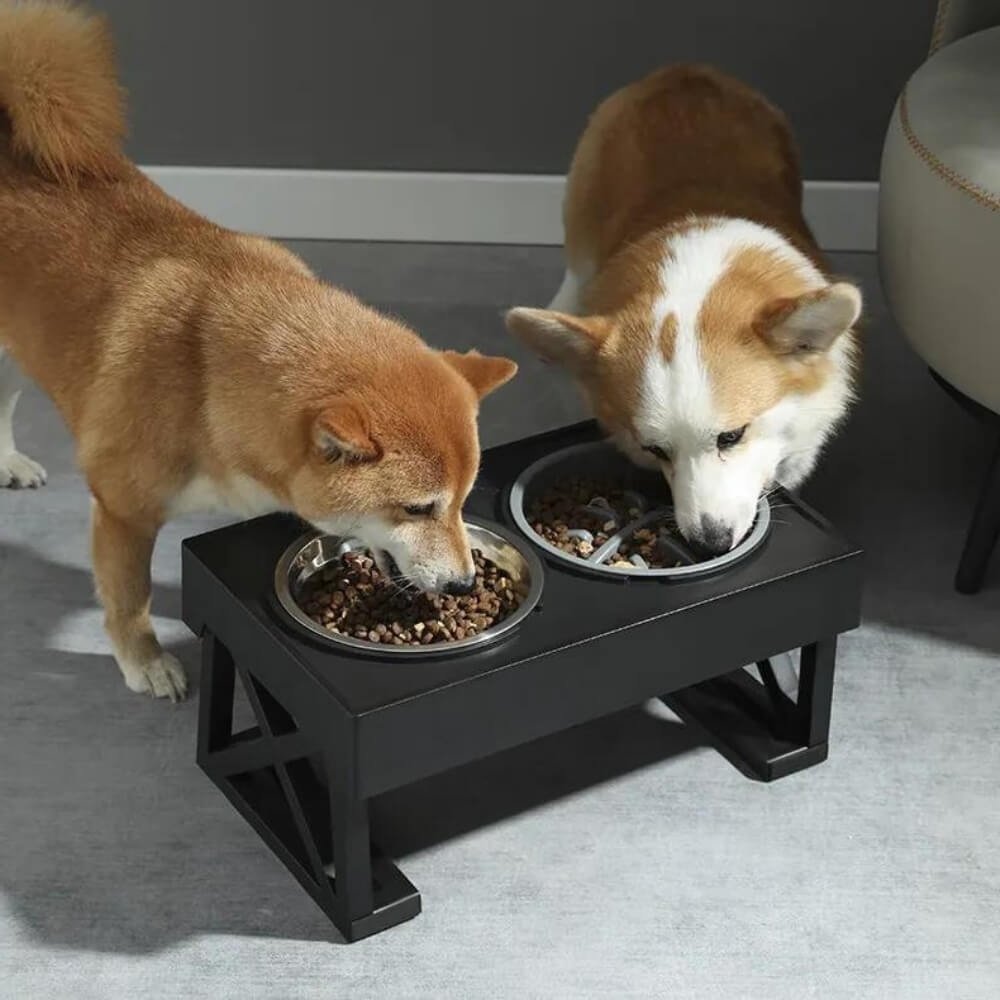 PupLift Hævet Hundeskål og Foderskål til Kæledyr og Hunde