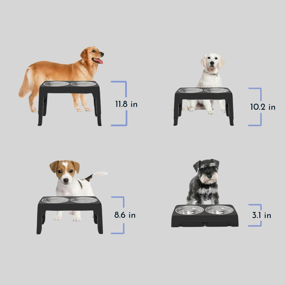 PupLift Hævet Hundeskål og Foderskål til Kæledyr og Hunde