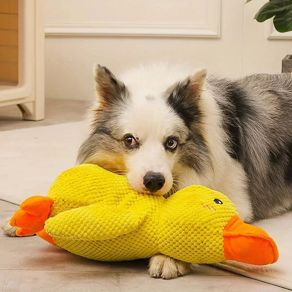 QuackPup Smart Quacking Duck Soft Toy For Pets Dogs Great Fetch