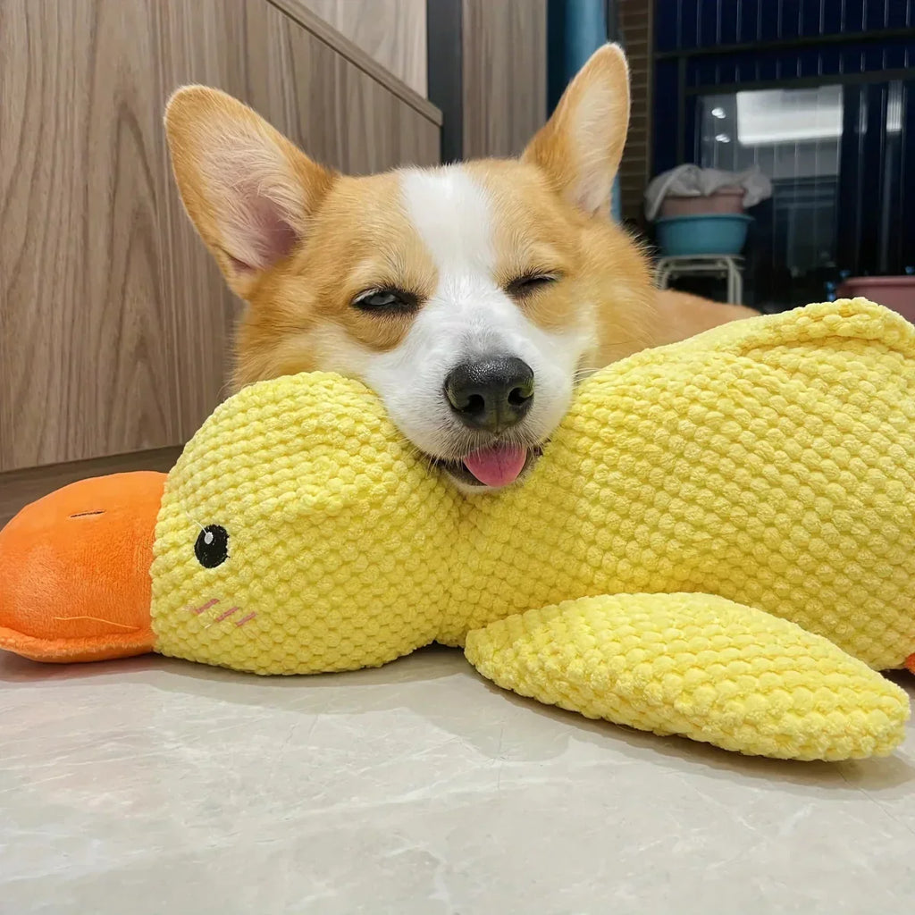 QuackPup Smart Quacking Duck Soft Toy For Pets Dogs Great Fetch
