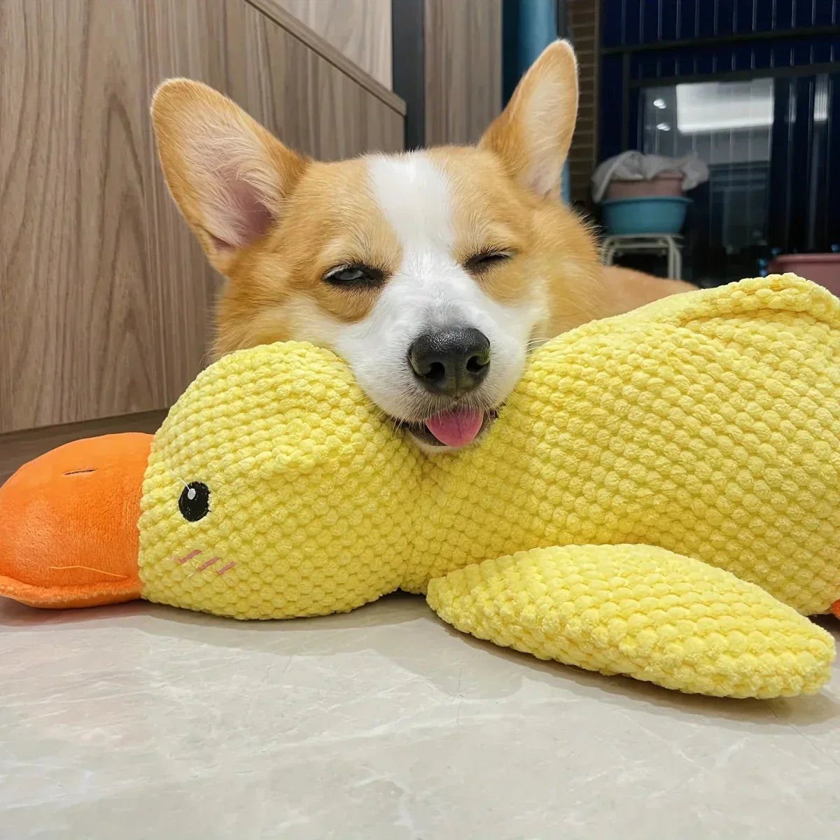 QuackPup Smart Quacking Duck Soft Toy For Pets Dogs Great Fetch