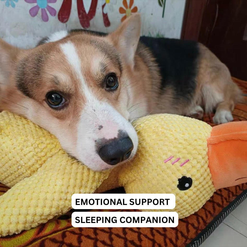 QuackPup Smart Quacking Duck Soft Toy For Pets Dogs Great Fetch