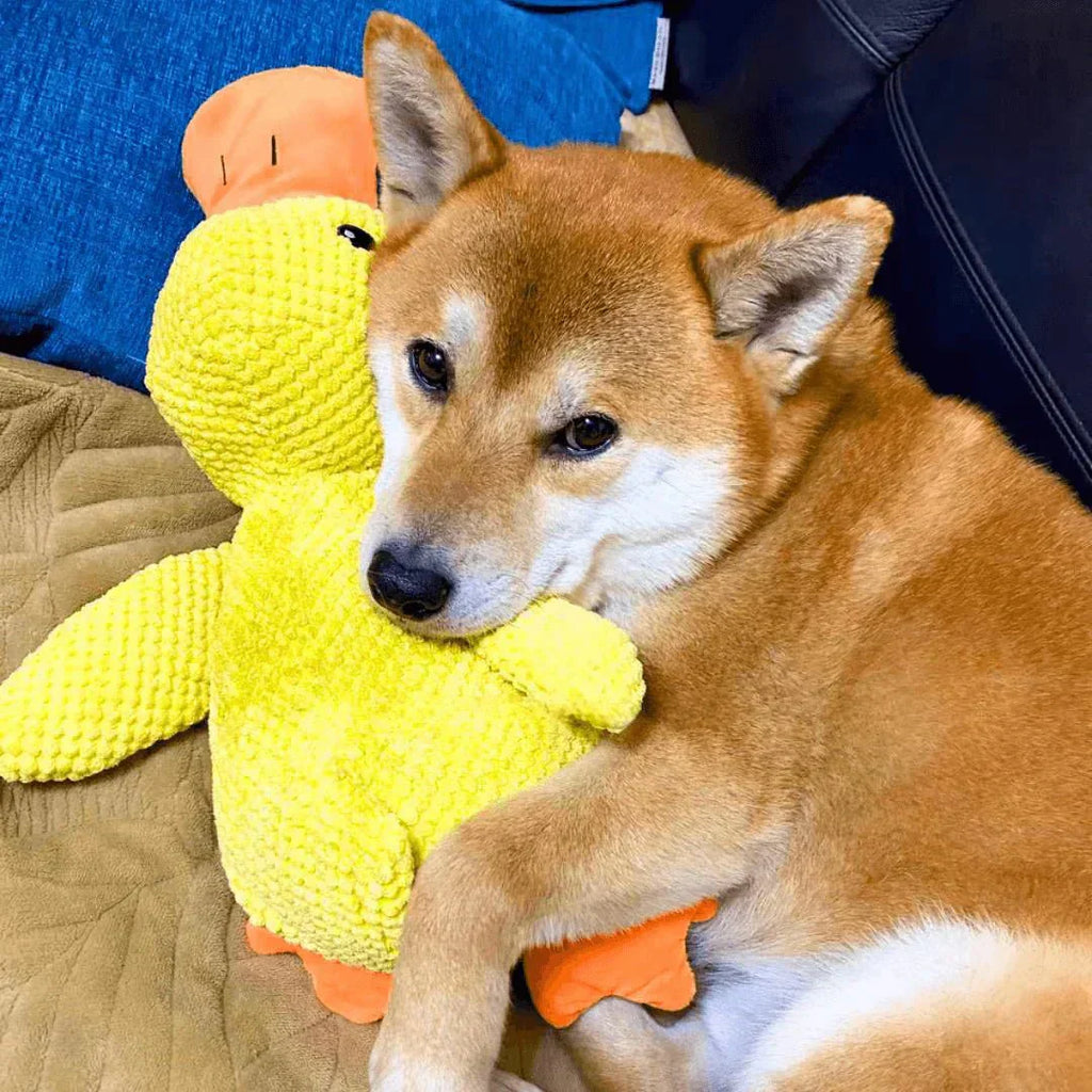 QuackPup Smart Quacking Duck Soft Toy For Pets Dogs Great Fetch