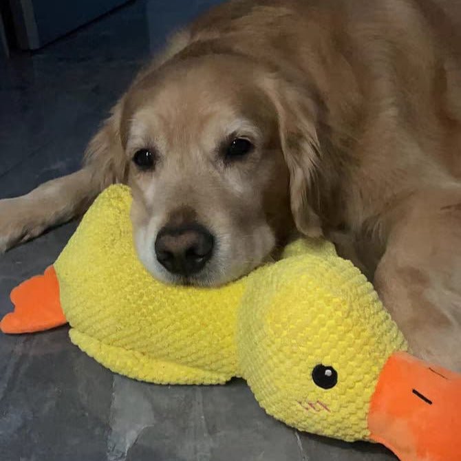 QuackPup Smart Quacking Duck Soft Toy For Pets Dogs Great Fetch