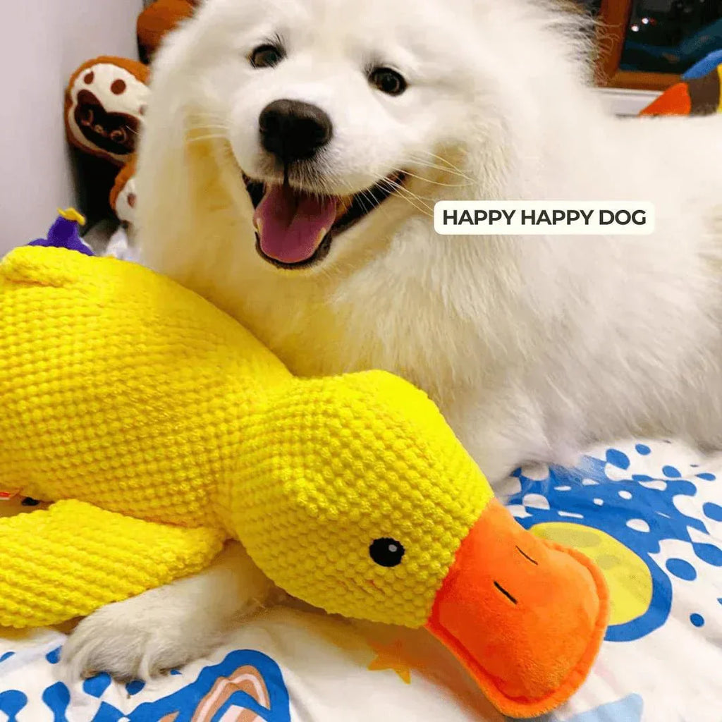 QuackPup Smart Quacking Duck Soft Toy For Pets Dogs Great Fetch