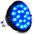 Lampadina NovaGlow 460nm Luce Blu per la Pelle Uso Domestico Oggi