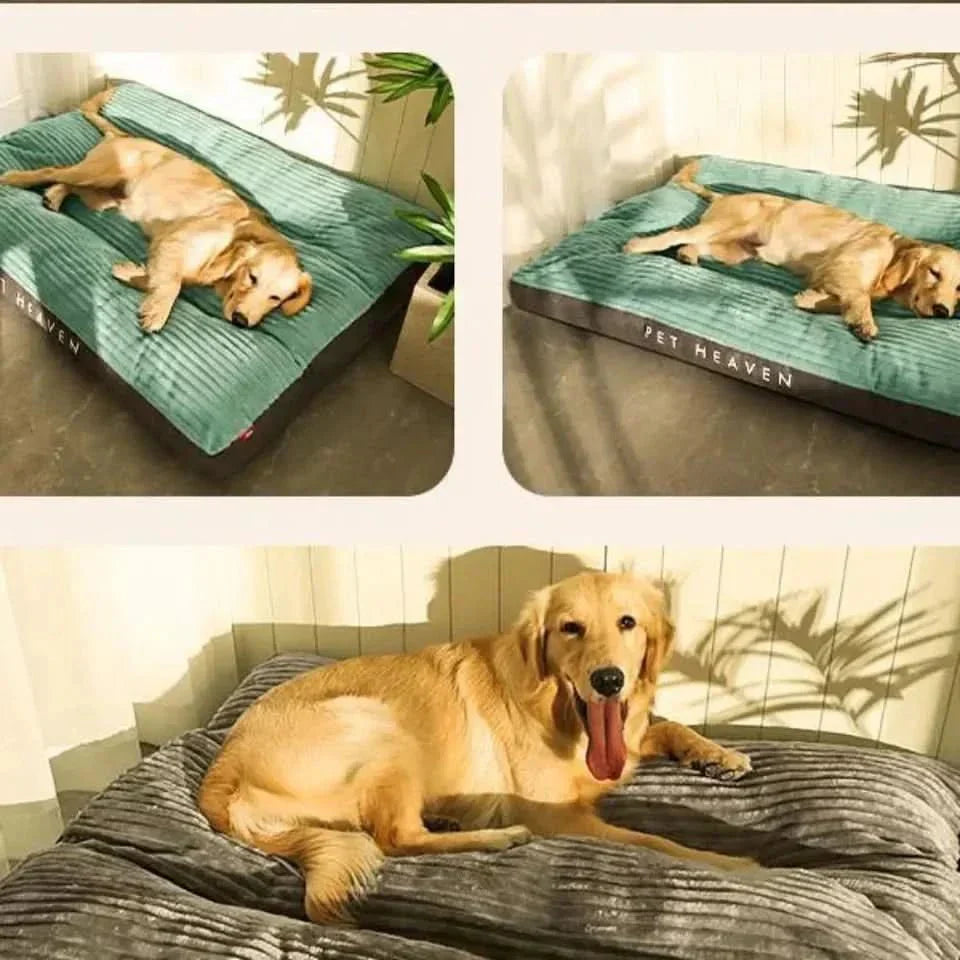 CosyPaw Plüsch-Orthopädisches Hundebett mit gemütlicher Unterstützung und Komfort