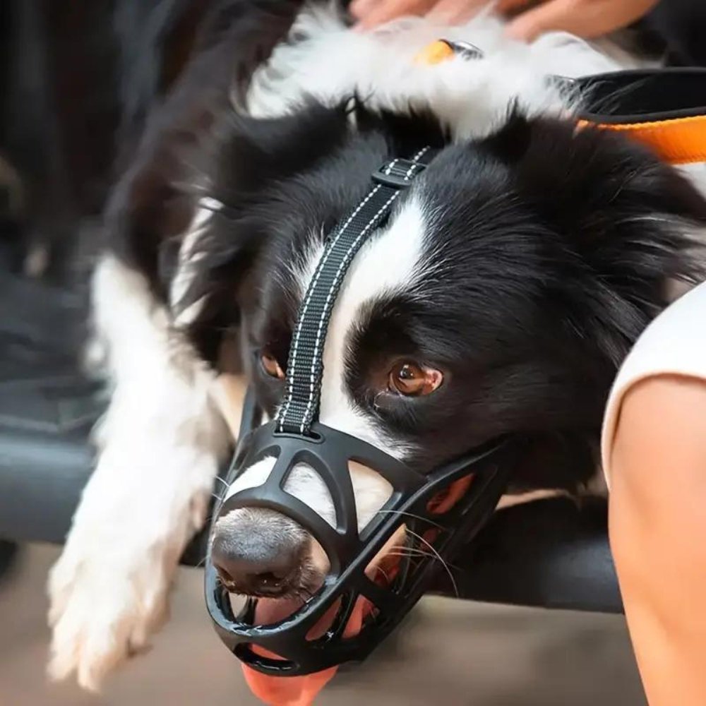 PawGuard prodyšný náhubek pro kontrolu kousání a štěkání doma nebo při výcviku