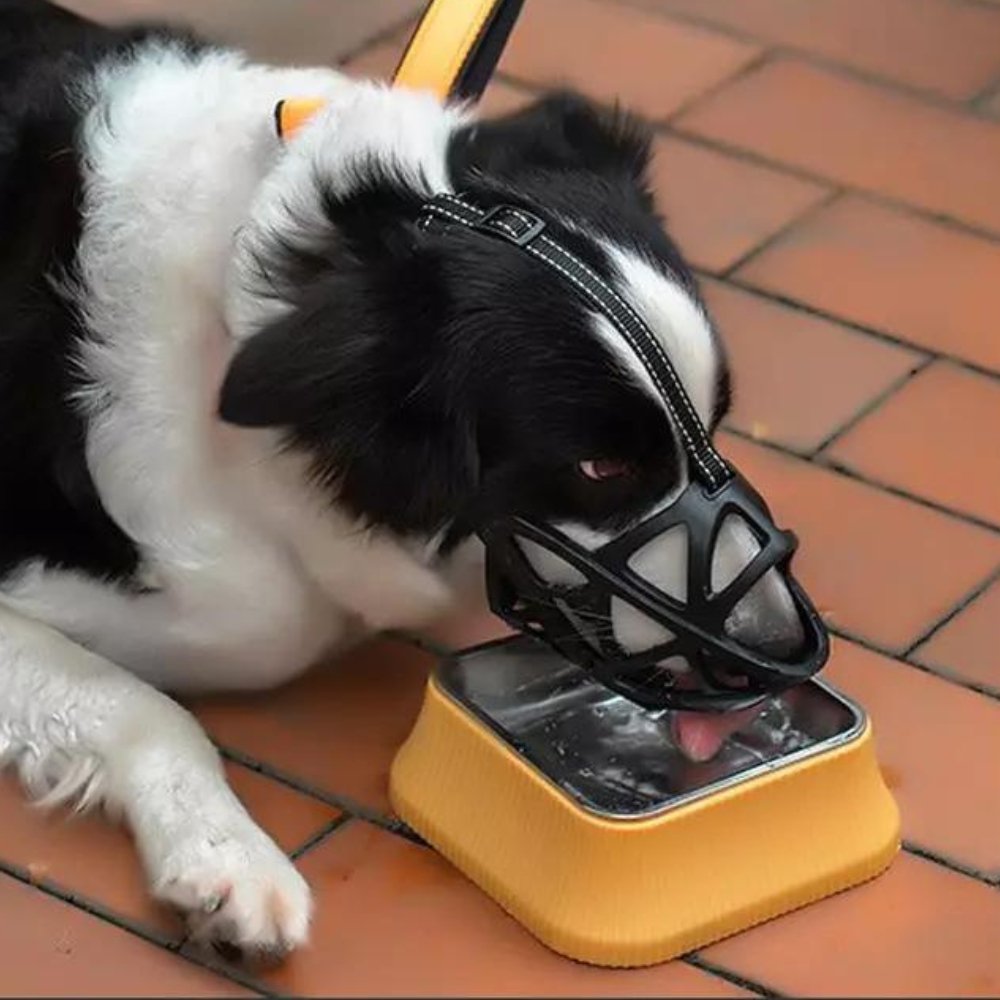 PawGuard prodyšný náhubek pro kontrolu kousání a štěkání doma nebo při výcviku