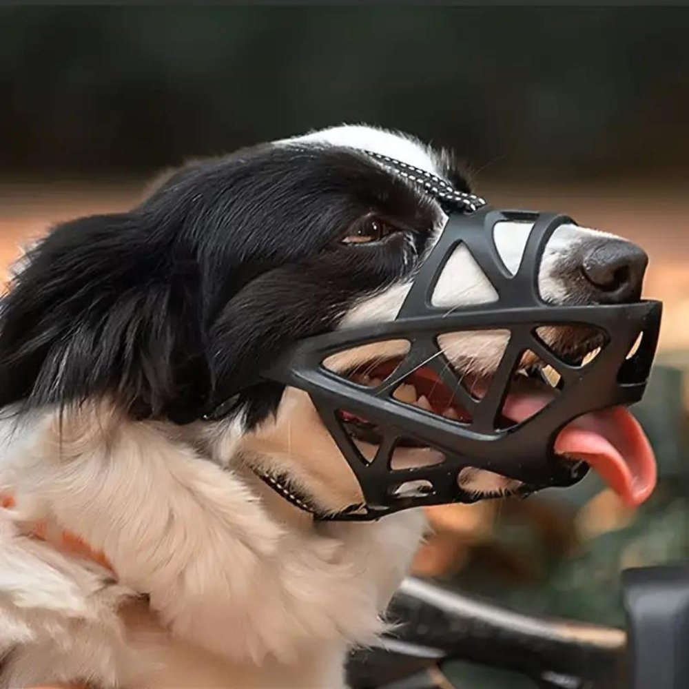PawGuard prodyšný náhubek pro kontrolu kousání a štěkání doma nebo při výcviku