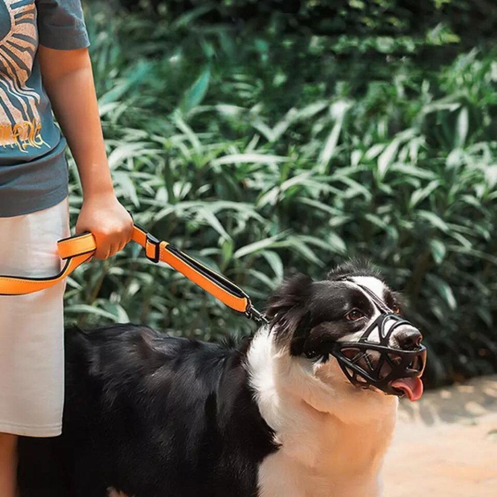 PawGuard prodyšný náhubek pro kontrolu kousání a štěkání doma nebo při výcviku