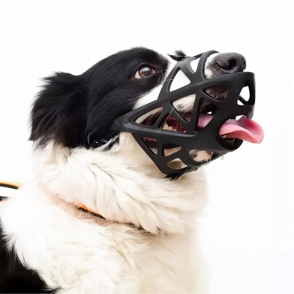 PawGuard prodyšný náhubek pro kontrolu kousání a štěkání doma nebo při výcviku