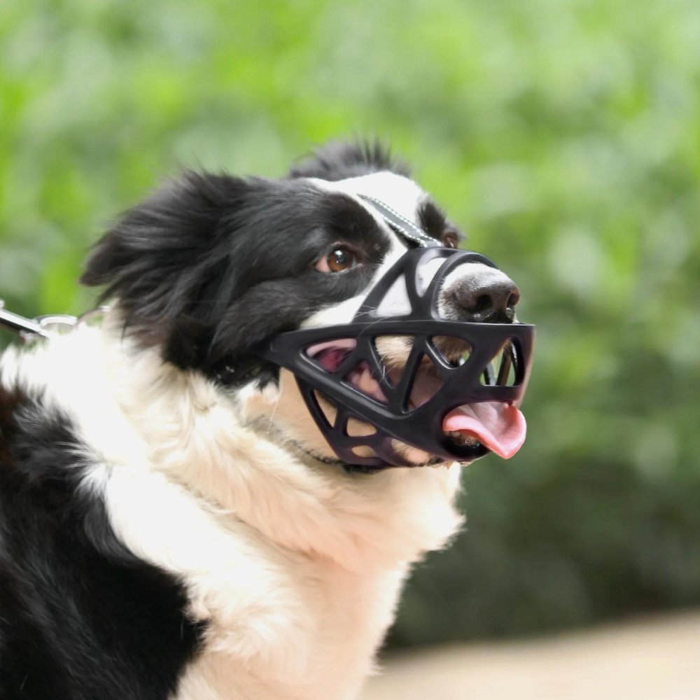 PawGuard prodyšný náhubek pro kontrolu kousání a štěkání doma nebo při výcviku