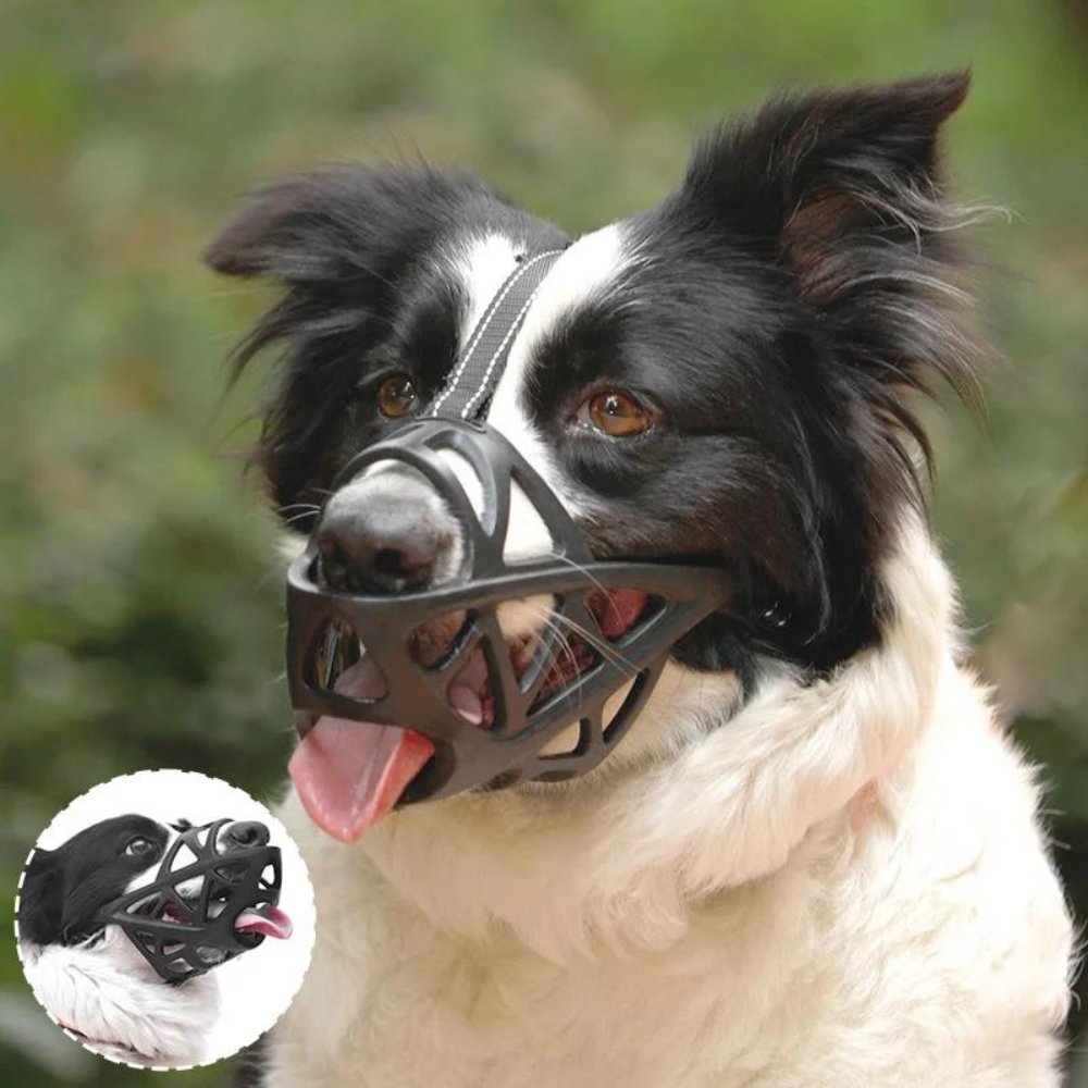 PawGuard prodyšný náhubek pro kontrolu kousání a štěkání doma nebo při výcviku