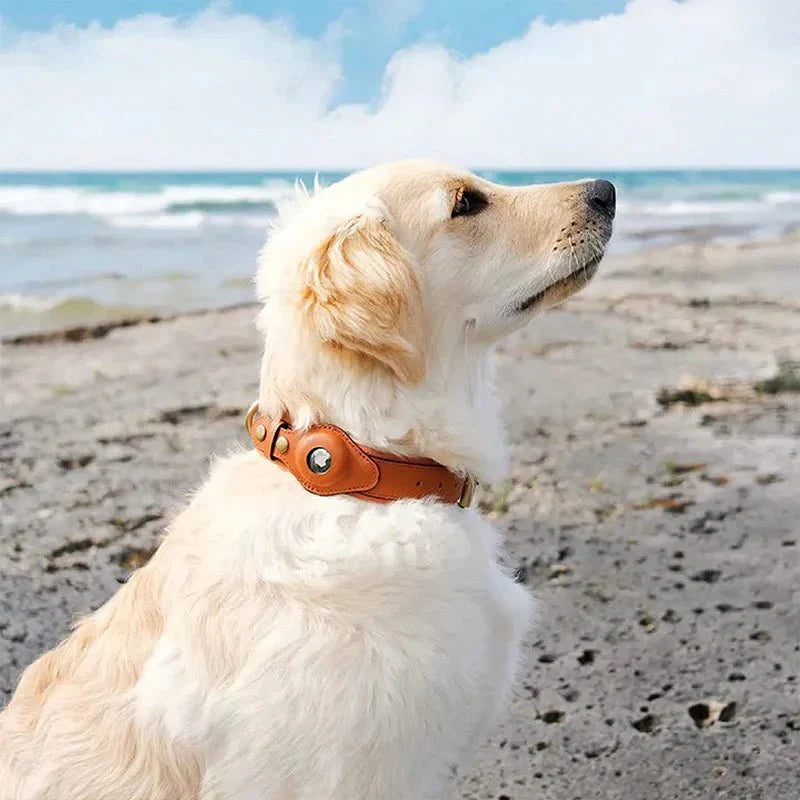 SafeTrack AirTag Pet Collar With Find My App And Android Tracker
