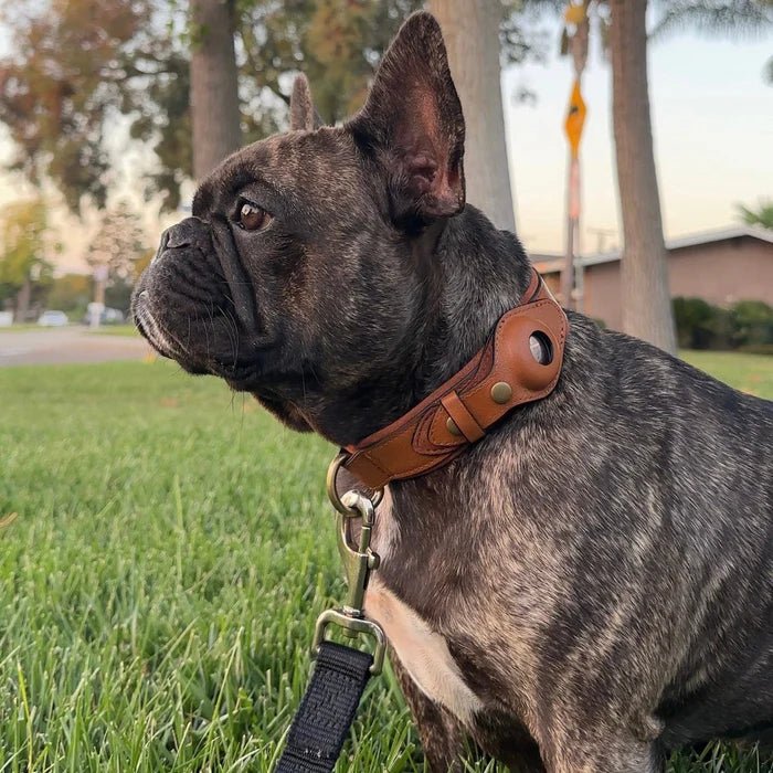 SafeTrack AirTag Pet Collar With Find My App And Android Tracker
