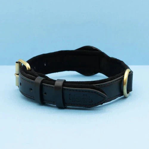 Collar Premium TrailGuard para Perro con Bolsillo Seguro para Apple AirTag para Localizar a Tu Perro