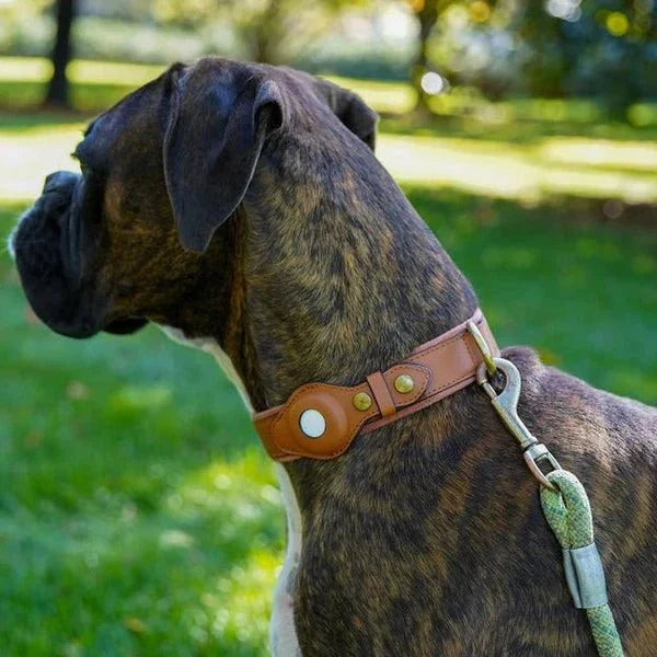 SafeTrack AirTag Pet Collar With Find My App And Android Tracker