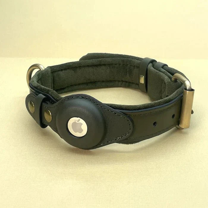 SafeTrack AirTag Pet Collar With Find My App And Android Tracker