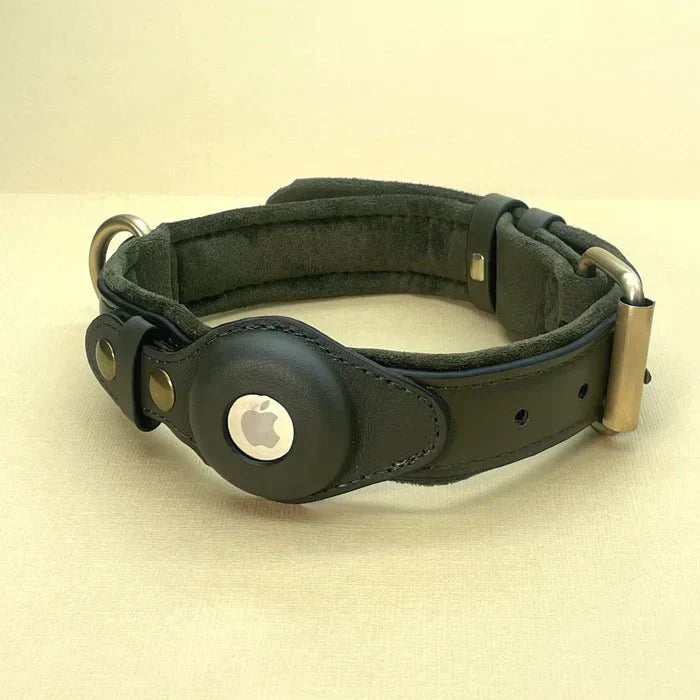 TrailGuard Premium Dog Collar With Secure Apple AirTag Pocket To Locate Your Dog