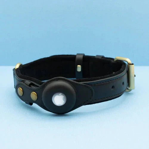 Collar Premium TrailGuard para Perro con Bolsillo Seguro para Apple AirTag para Localizar a Tu Perro