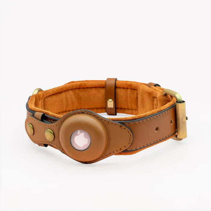 TrailGuard Premium Dog Collar With Secure Apple AirTag Pocket To Locate Your Dog