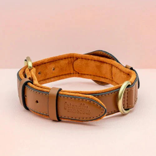 SafeTrack AirTag Pet Collar With Find My App And Android Tracker