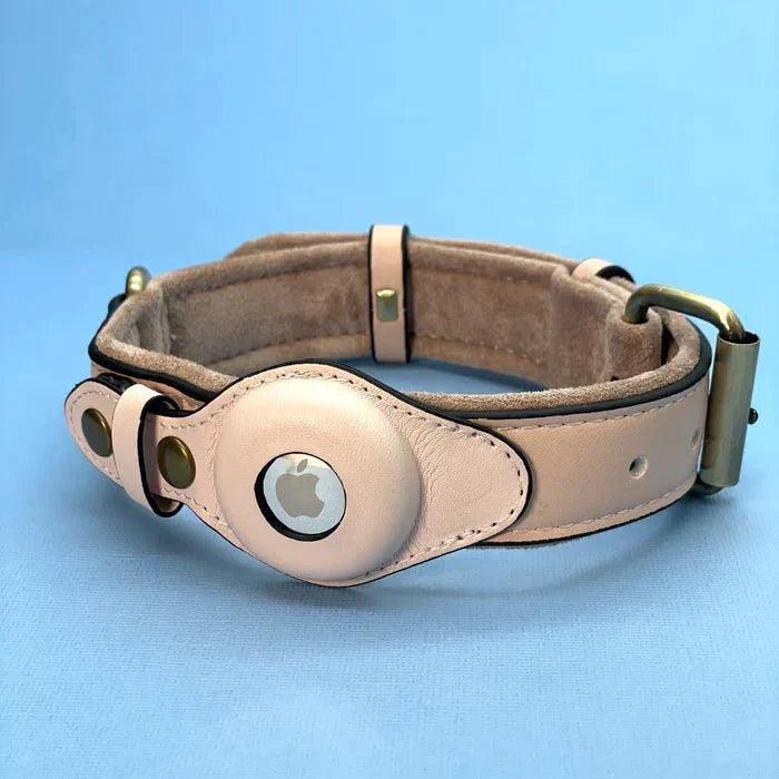 TrailGuard Premium Dog Collar With Secure Apple AirTag Pocket To Locate Your Dog