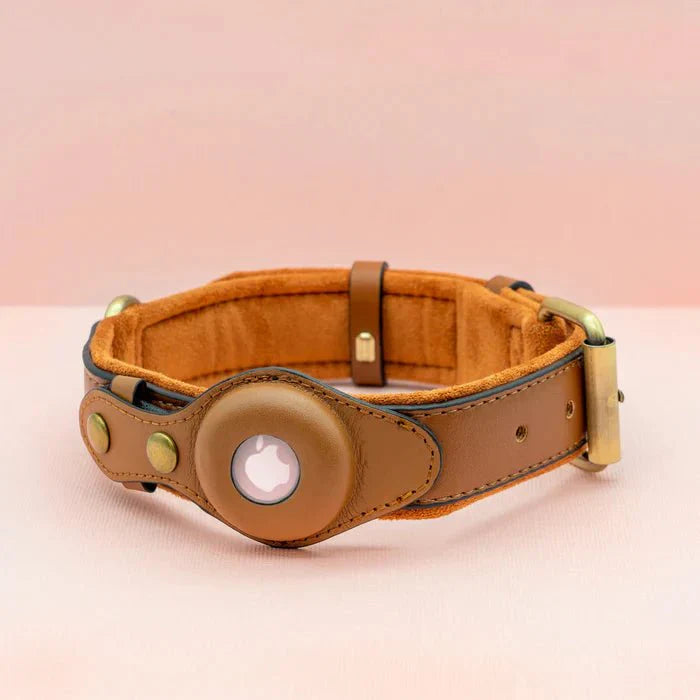 SafeTrack AirTag Pet Collar With Find My App And Android Tracker