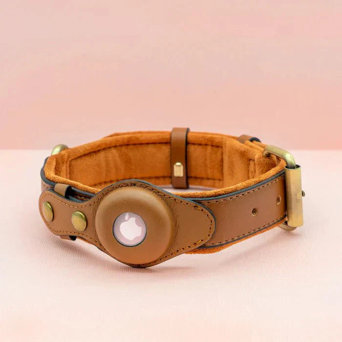 TrailGuard Premium Dog Collar With Secure Apple AirTag Pocket To Locate Your Dog
