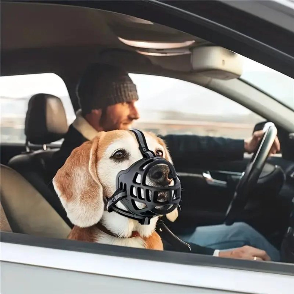 NexaGuard Breathable Muzzle For Dogs Adjustable Straps Training
