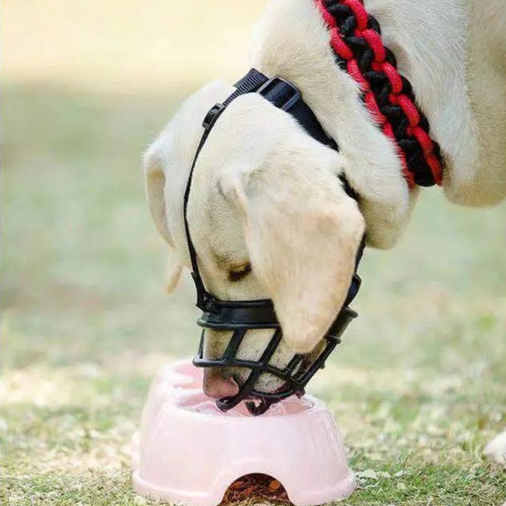 NexaGuard Breathable Muzzle For Dogs Adjustable Straps Training