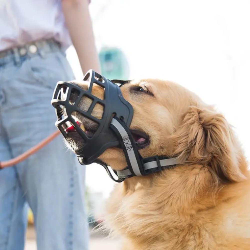 NexaGuard Breathable Muzzle For Dogs Adjustable Straps Training