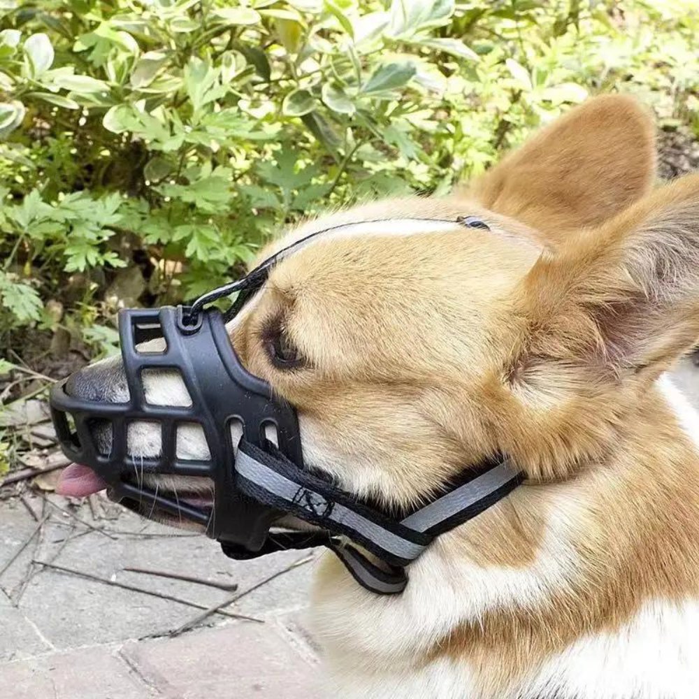 NexaGuard Breathable Muzzle For Dogs Adjustable Straps Training