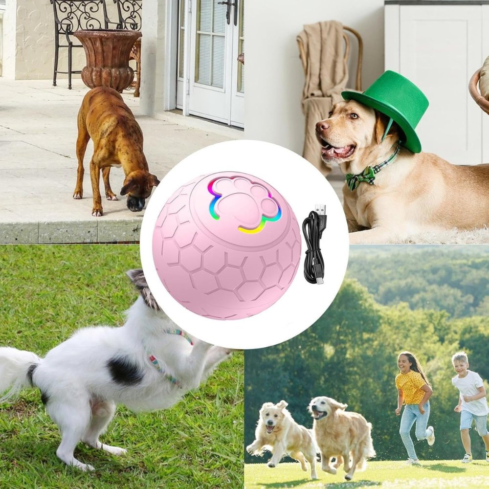 SmartBounce Ball Toy For Dogs With Intelligent Bounce Action And Waterproof Durability