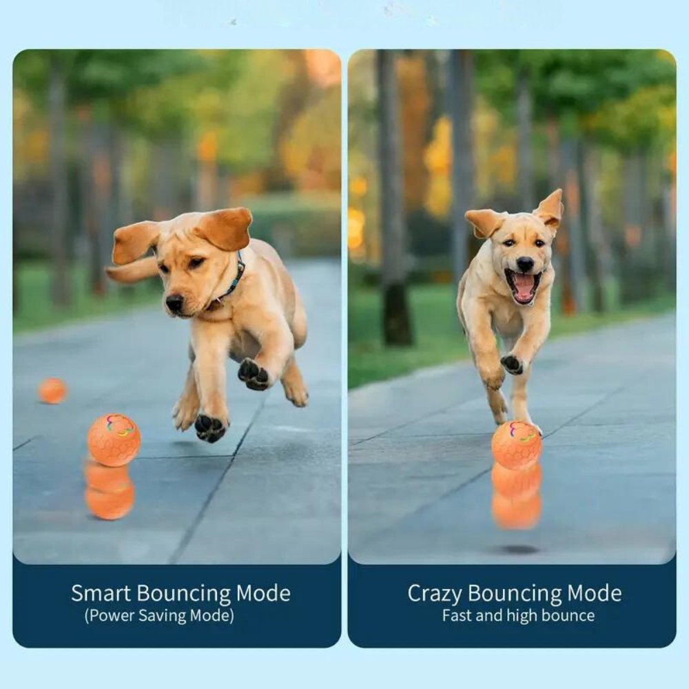 SmartBounce Ball Toy For Dogs With Intelligent Bounce Action And Waterproof Durability