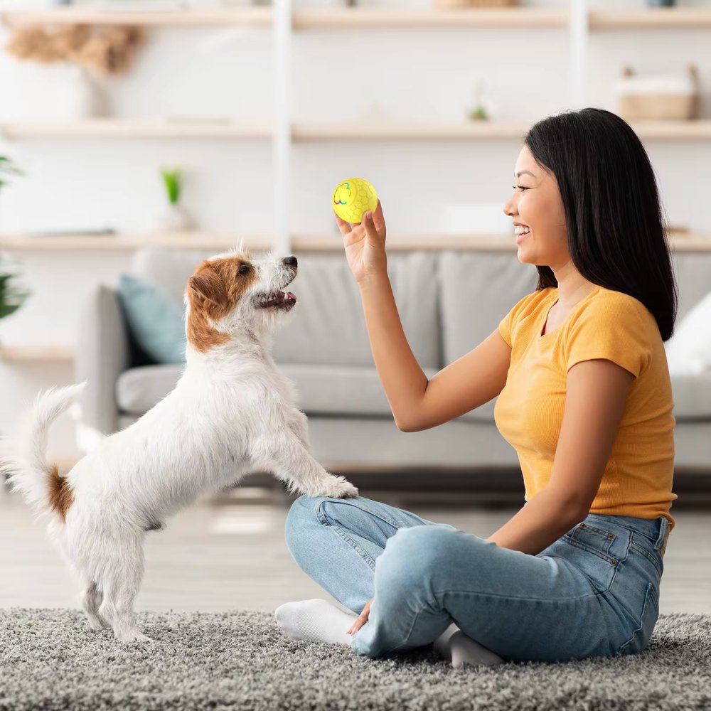 SmartBounce Ball Toy For Dogs With Intelligent Bounce Action And Waterproof Durability