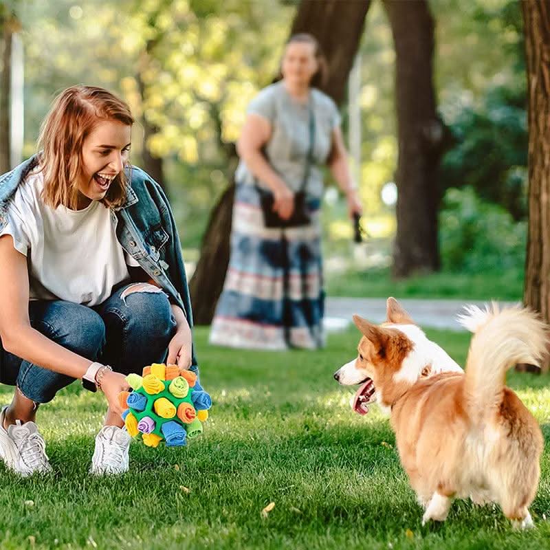 Alfombra Snuffle PawPlex para Perros y Gatos Estimulación Interactiva del Olfato