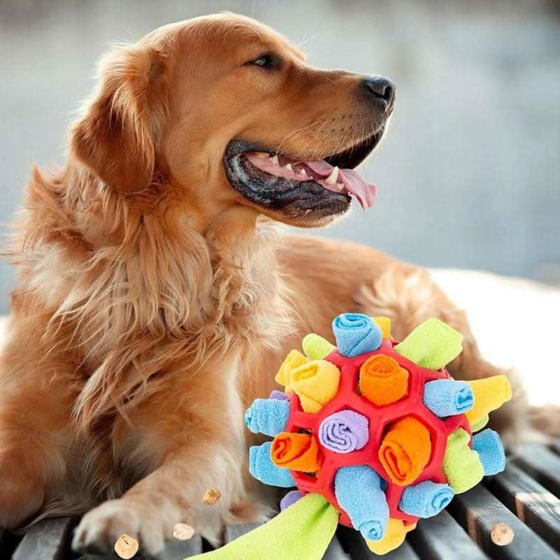 Alfombra Snuffle PawPlex para Perros y Gatos Estimulación Interactiva del Olfato