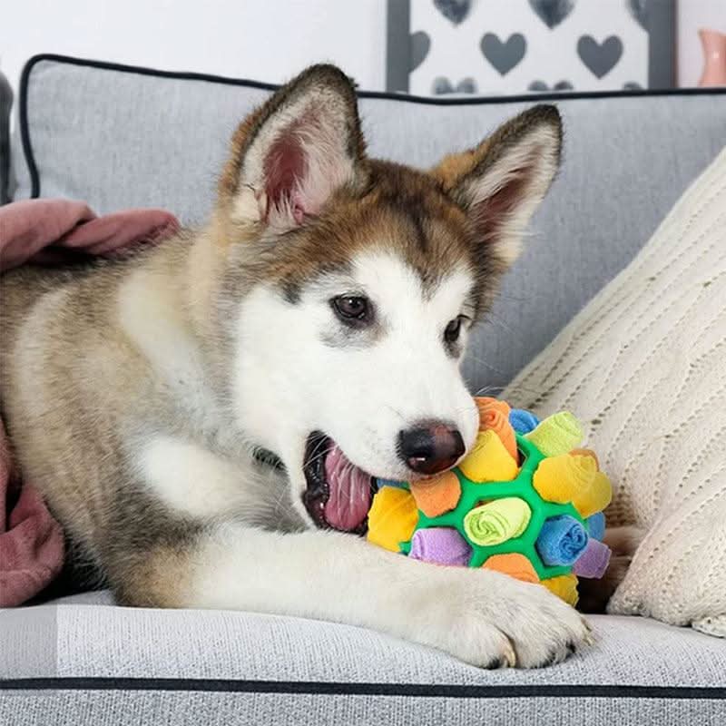Alfombra Snuffle PawPlex para Perros y Gatos Estimulación Interactiva del Olfato