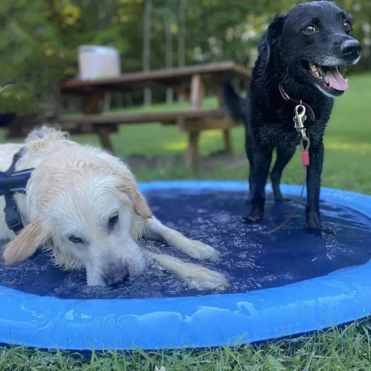 SplashyPaws Her Boyutta Evcil Hayvan ve Köpekler İçin Açık Hava Su Pedi