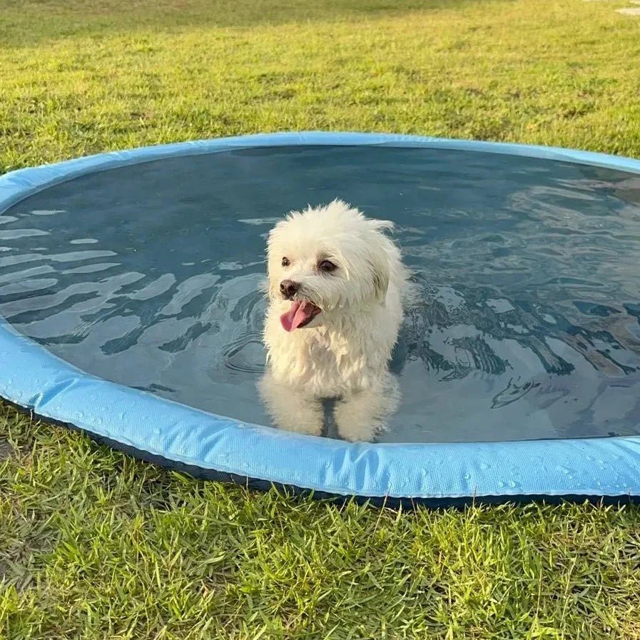 SplashyPaws Her Boyutta Evcil Hayvan ve Köpekler İçin Açık Hava Su Pedi