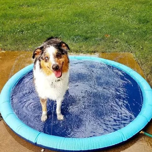 SplashyPaws Her Boyutta Evcil Hayvan ve Köpekler İçin Açık Hava Su Pedi